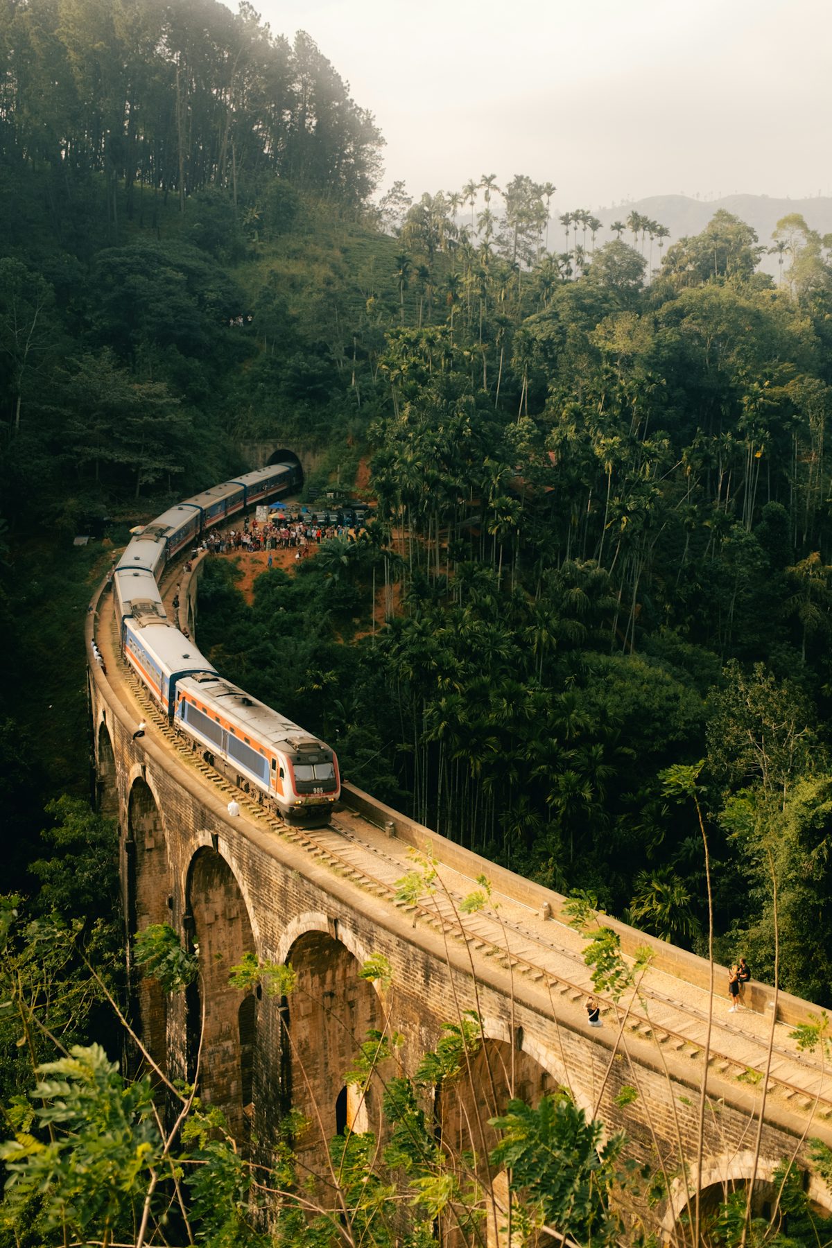 A train travels across a viaduct in a lush jungle